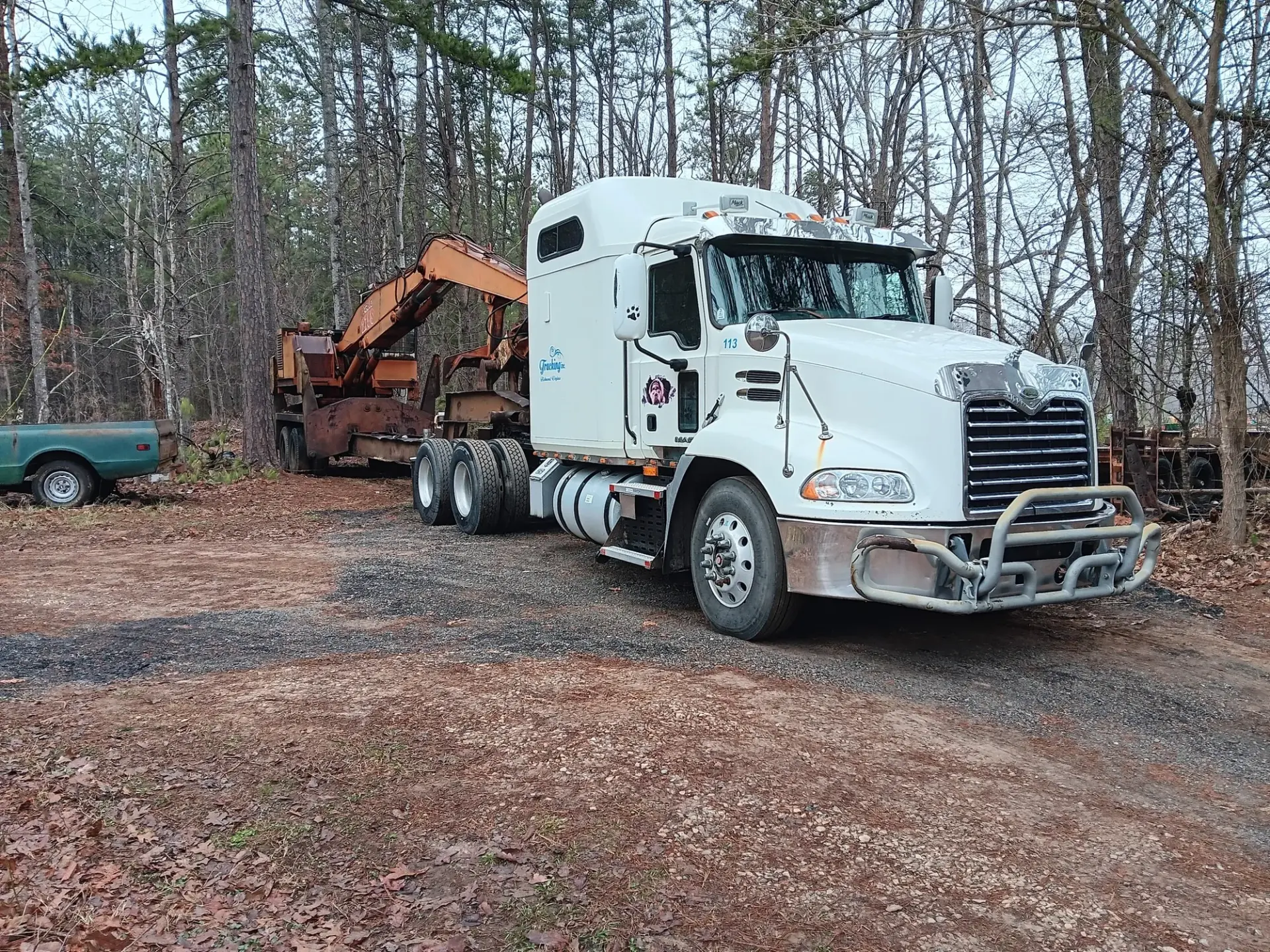 Tree Service